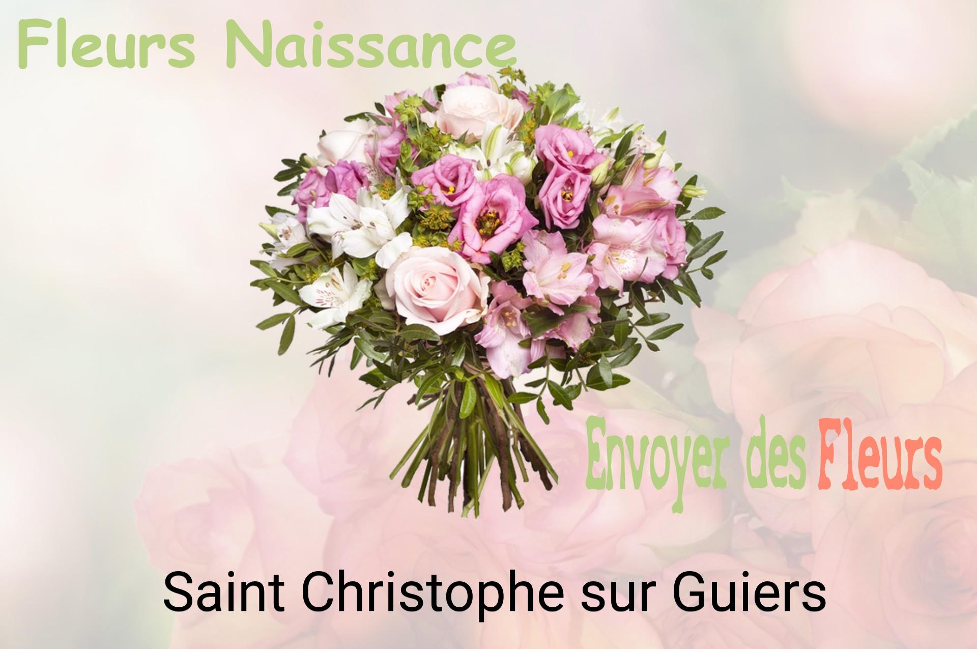 Bouquet de fleurs de naissance livré à Saint-Christophe-sur-Guiers