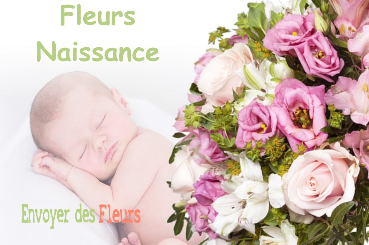 lIVRAISON FLEURS NAISSANCE à SAINT-CHRISTOPHE-SUR-GUIERS