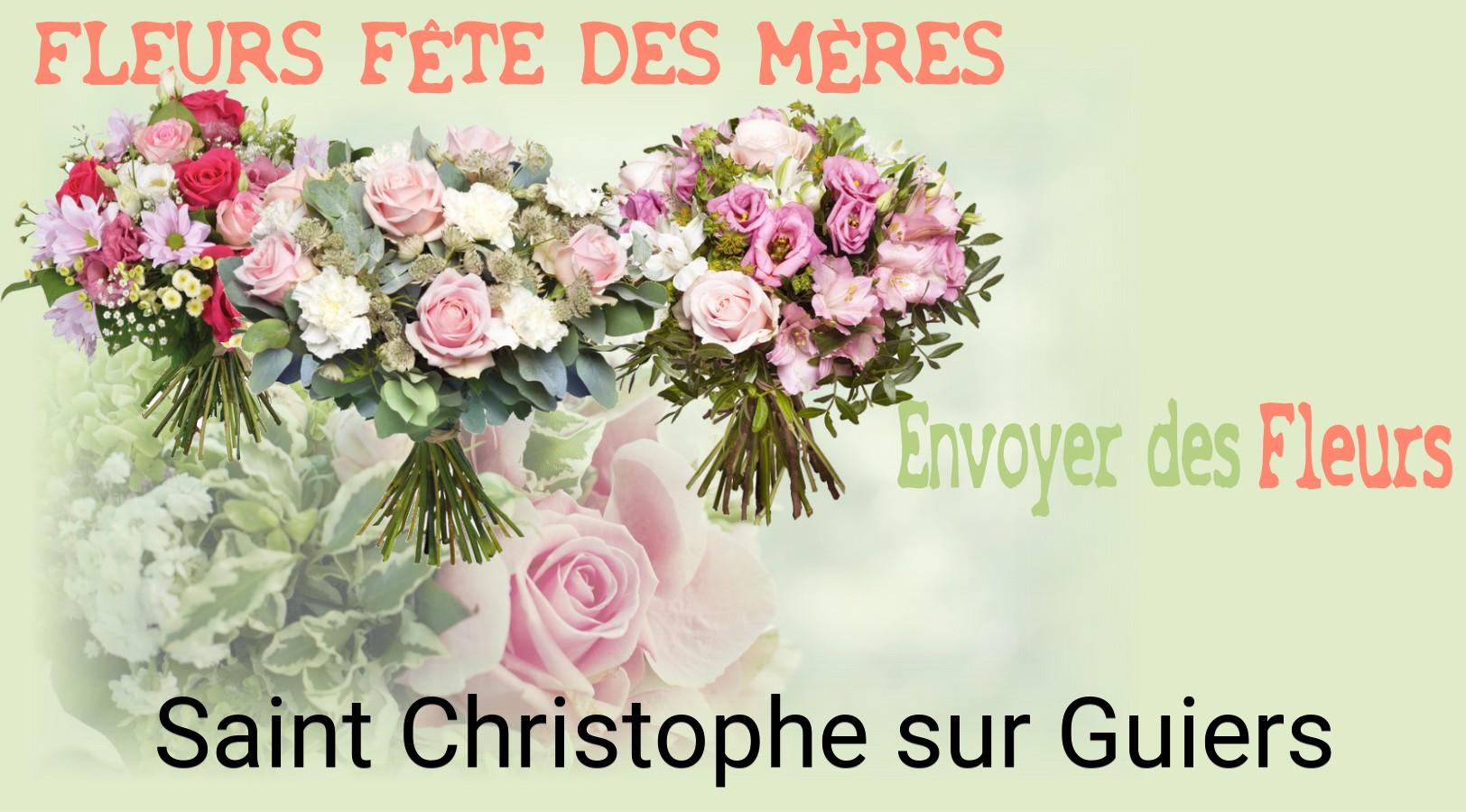Bouquet de Fête des Mères livré à Saint-Christophe-sur-Guiers